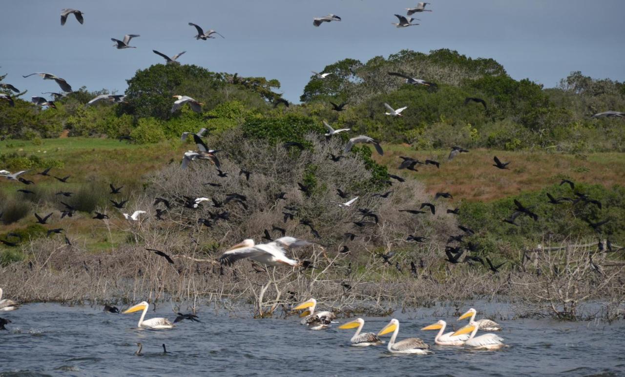 De Hoop Collection - Vlei Cottages De Hoop Nature Reserve Extérieur photo